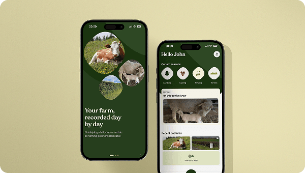 Helping Irish farmers navigate agricultural policy